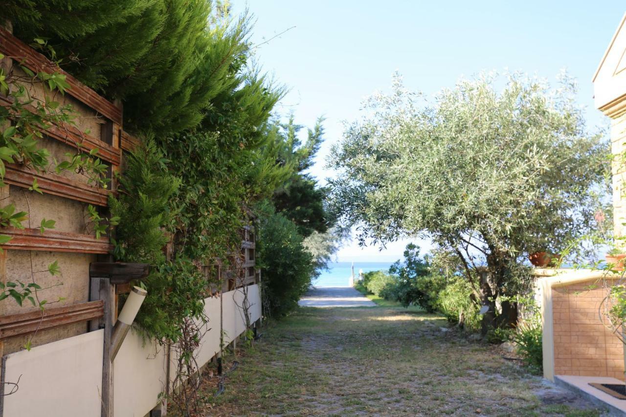 Villa Argo 3 - Beachfront, Big Gardens, Location! Pefkochori Exterior foto