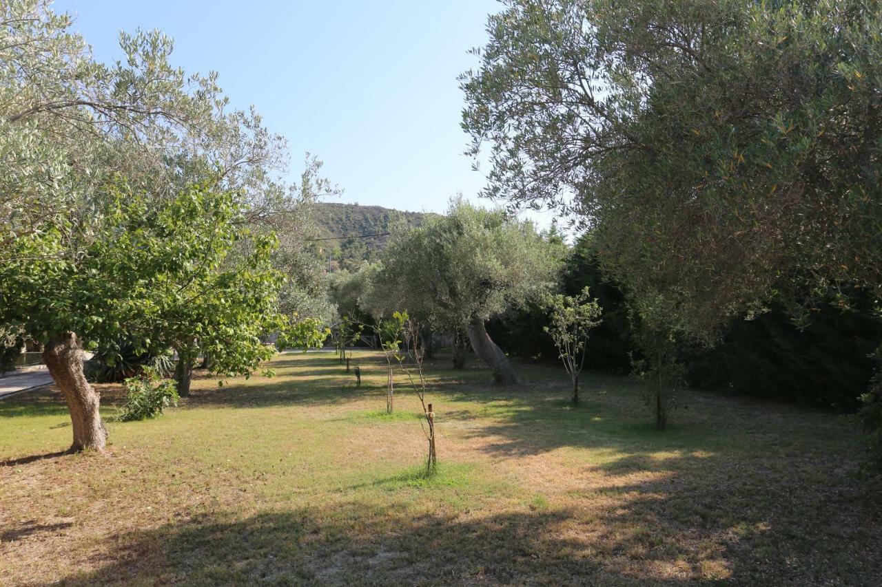 Villa Argo 3 - Beachfront, Big Gardens, Location! Pefkochori Exterior foto