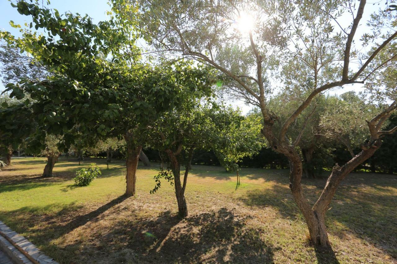 Villa Argo 3 - Beachfront, Big Gardens, Location! Pefkochori Exterior foto
